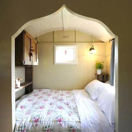 Beech Shepherds Hut York Buitenkant foto