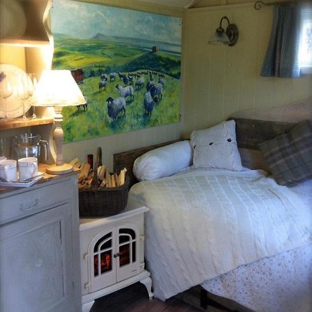 Beech Shepherds Hut York Buitenkant foto