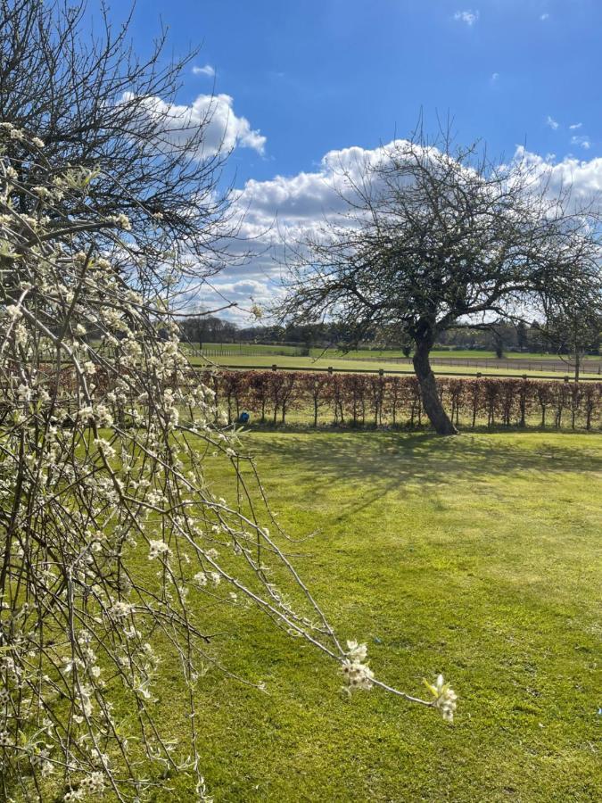 Beech Shepherds Hut York Buitenkant foto